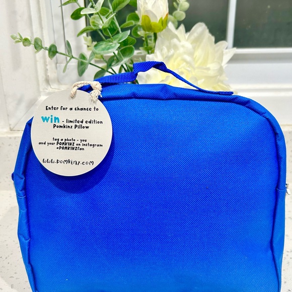 Pomkinz Dinosaur 🦕 🦖 Pet Pals Set of 5 Stuffed Animals Rainbow Bag. - Picture 5 of 6